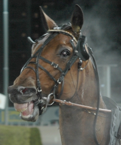 Random Shot 140402-1